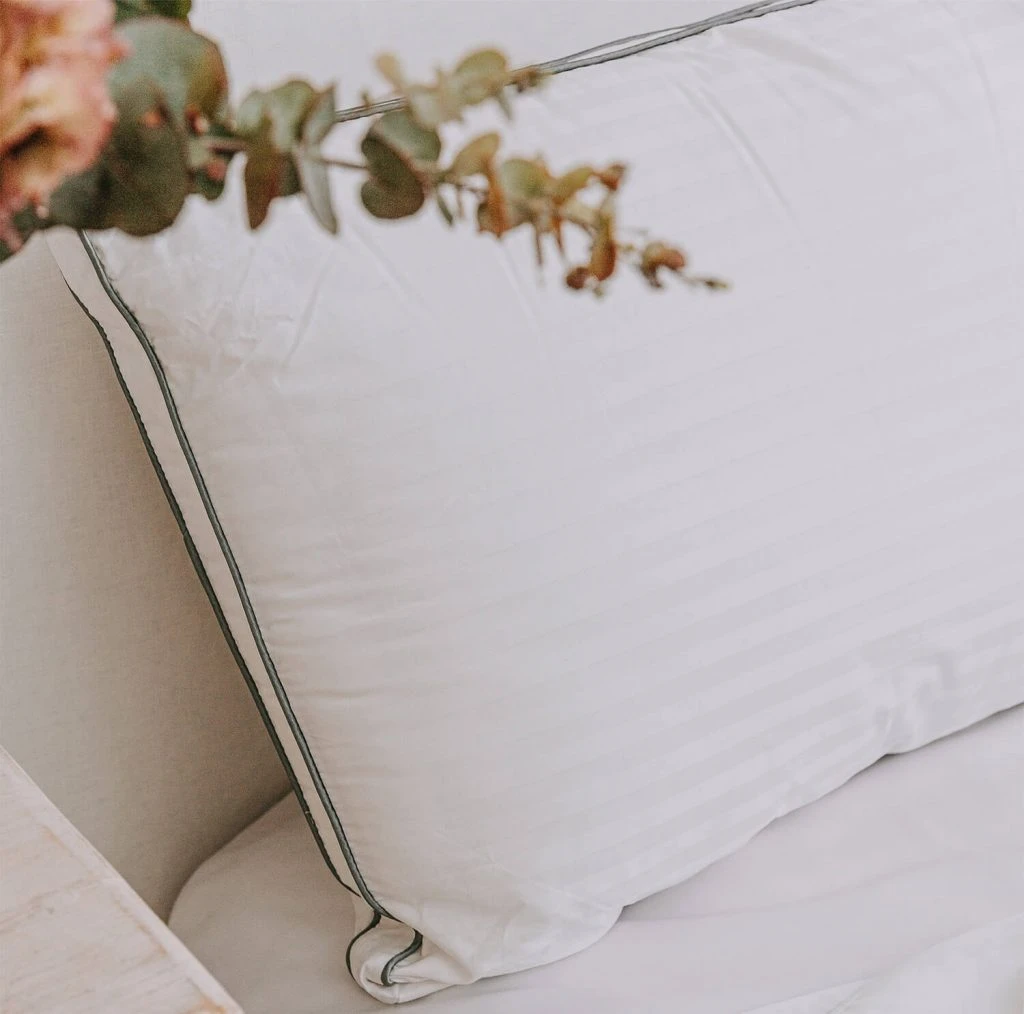 Ecorenew Ingeo™ Pillow Ecorenew Ingeo™ Pillow -The Bed Rooms Shop 1.2 Closeup EcorenewIngeoPillow 1024x1014 1