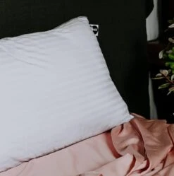 Sleepwise Thermoregulation Pillow -The Bed Rooms Shop 1J7C8726 1014x1024 1