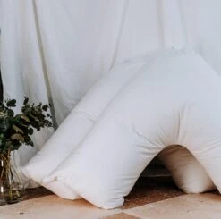 Sensitiva Boomerang Pillow