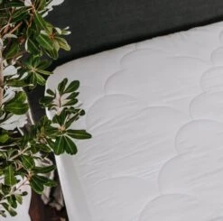 Ecorenew Tencel® Mattress Protector -The Bed Rooms Shop 2.1 Lifestyle EcorenewTencelMattressProtector 1024x1014 1
