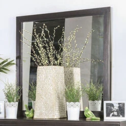 Berenice Mirror - Espresso